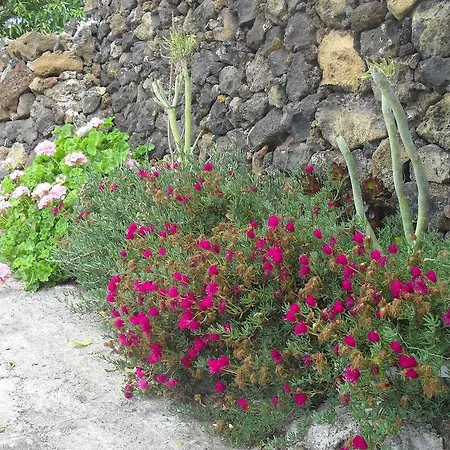Abuelo Pancho Las Casas (El Hierro)